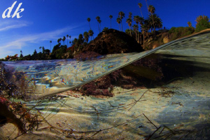 Crystal Clear Laguna Afternoon by Dale Kobetich 